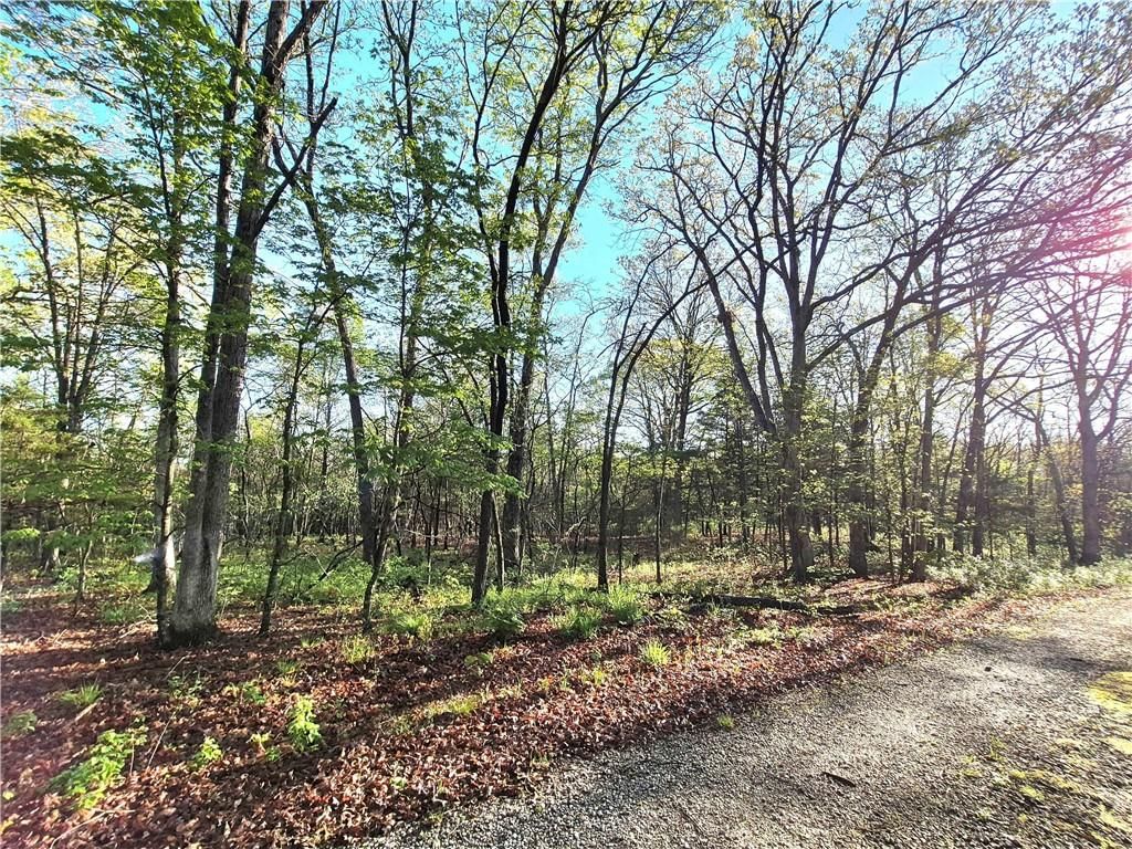 17999 State Highway U N/A — photo 49