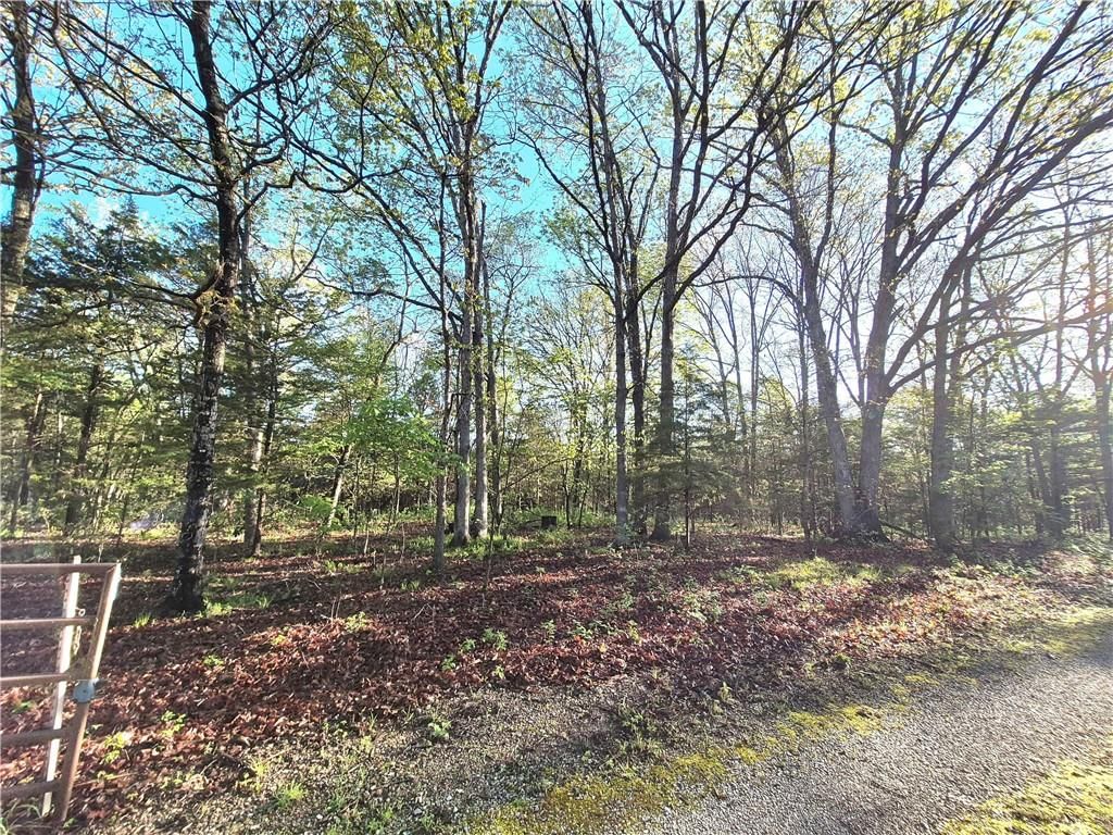 17999 State Highway U N/A — photo 50