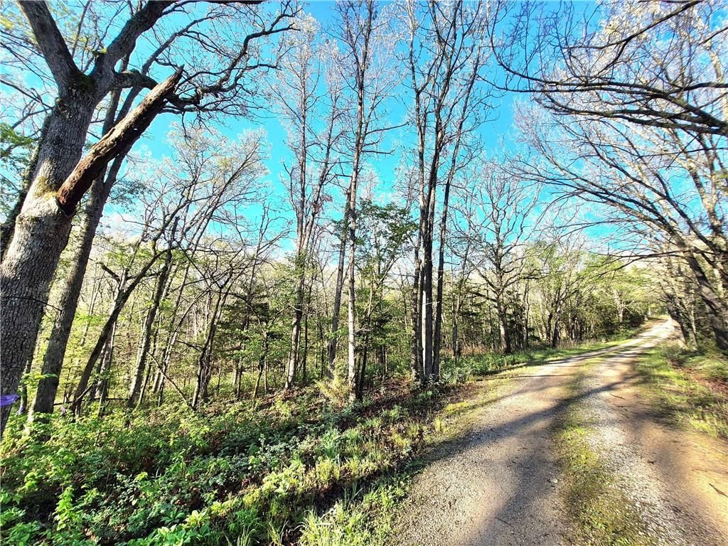 17999 State Highway U N/A — photo 56