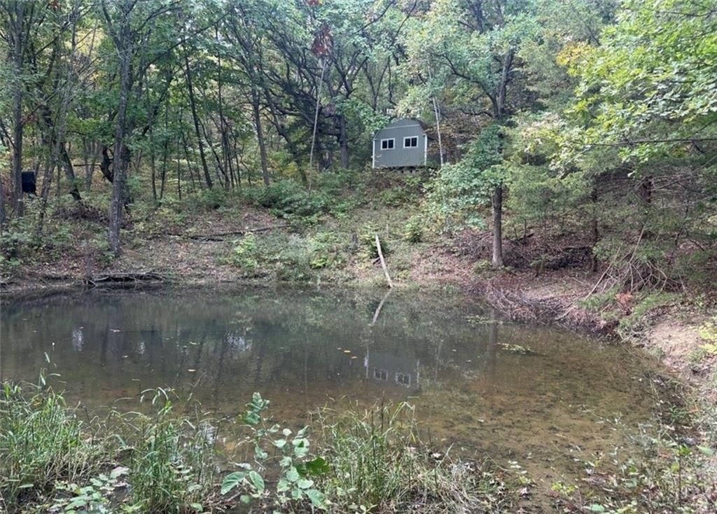12612 LIV 424 N/A — photo 20
