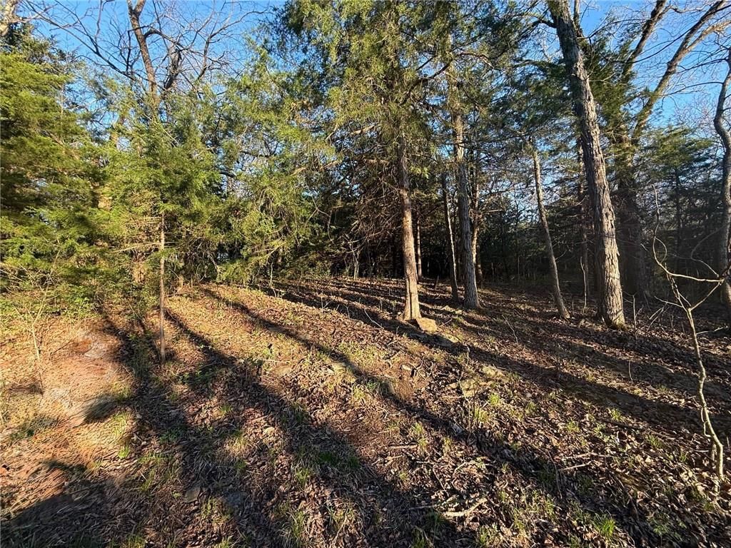 4512 Pawnee Road — photo 7