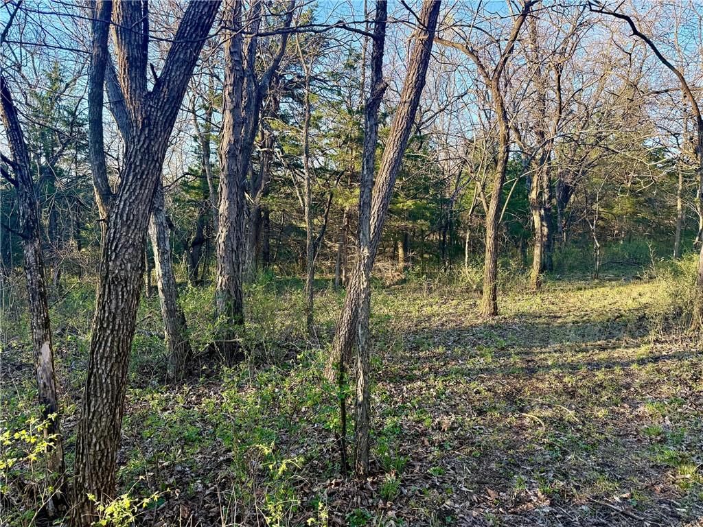 4512 Pawnee Road — photo 9
