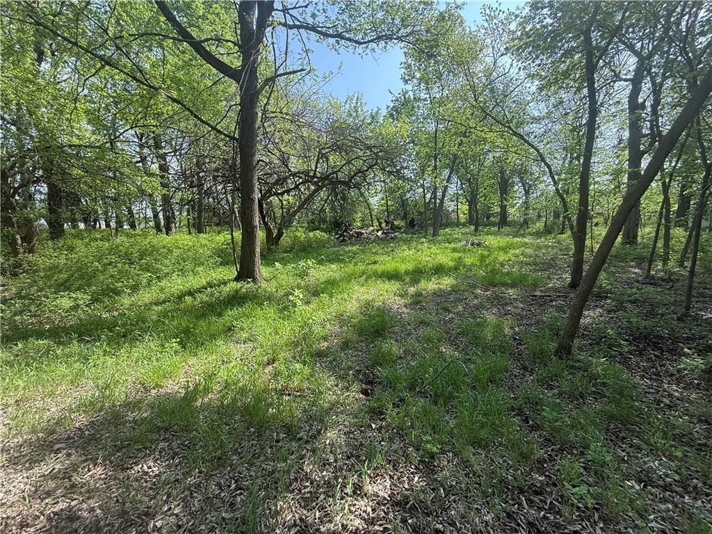 14 Black Oak Drive — photo 2
