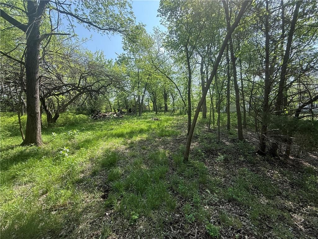14 Black Oak Drive — photo 3