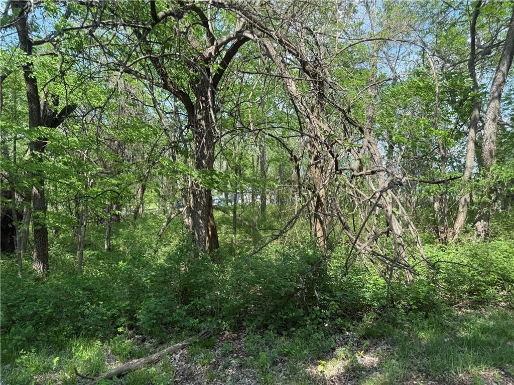 17 Black Oak Drive — photo 2