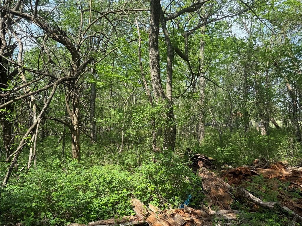 17 Black Oak Drive — photo 3