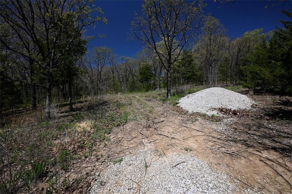 00000 Millwood Road — photo 4