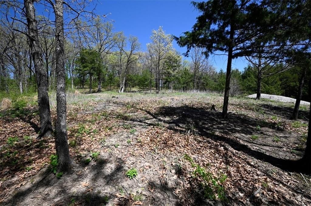 00000 Millwood Road — photo 5