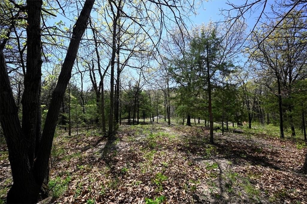 00000 Millwood Road — photo 8