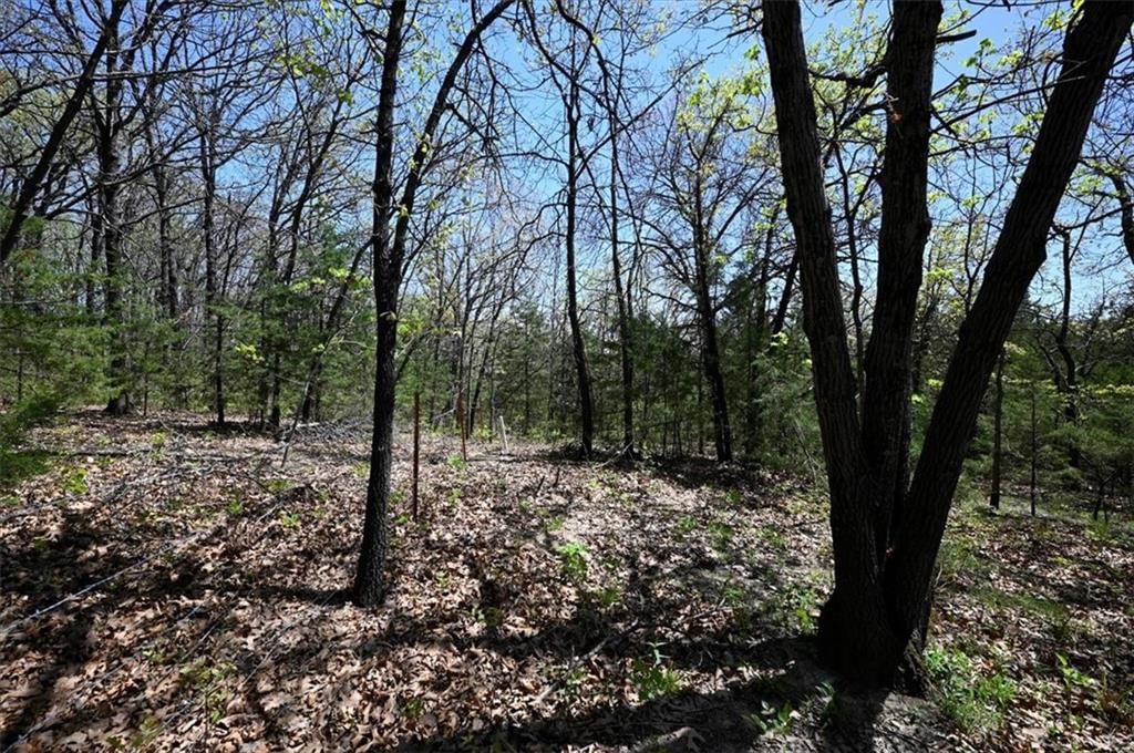 00000 Millwood Road — photo 9