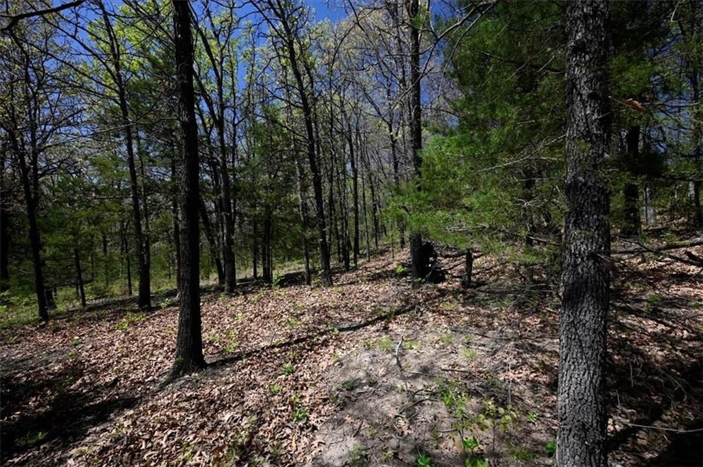 00000 Millwood Road — photo 10