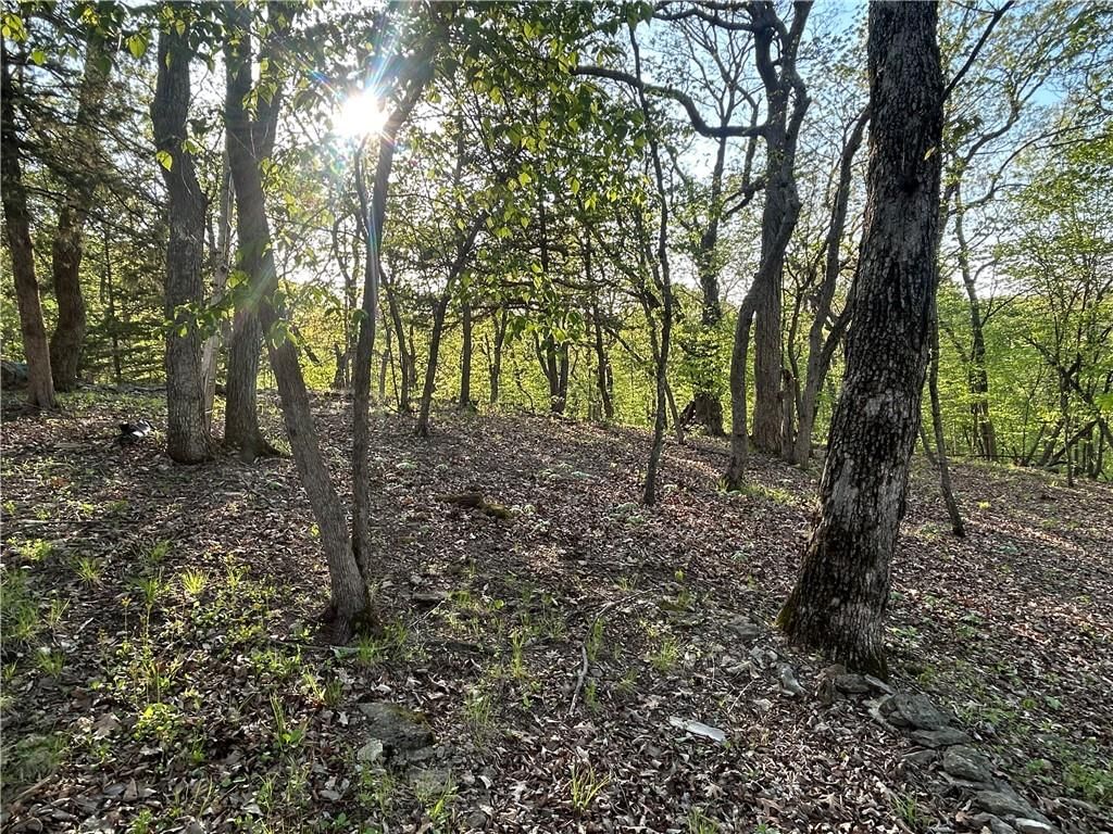 65 Hilltop Drive — photo 32