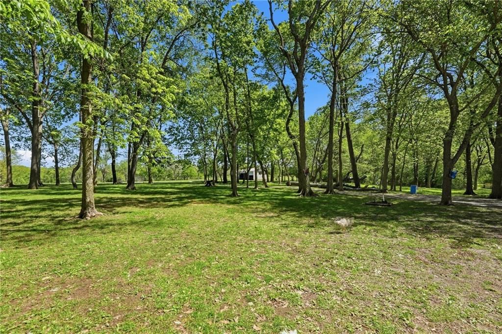 715 Dickinson Road — photo 65