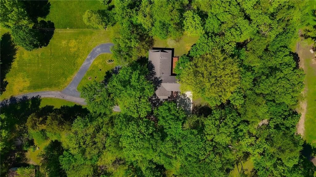 715 Dickinson Road — photo 73