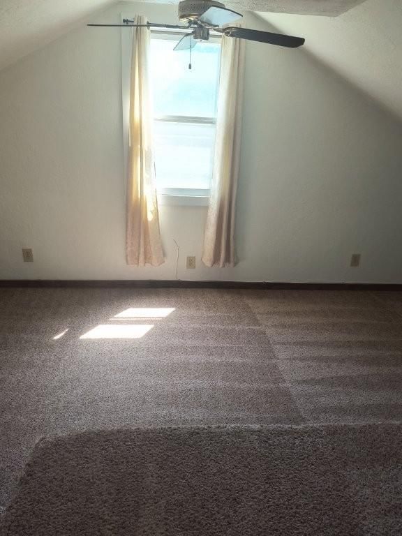 1005 S Forest Avenue — photo 27