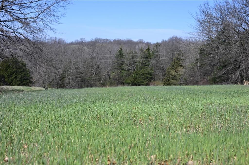 25240 Hwy T Highway — photo 33