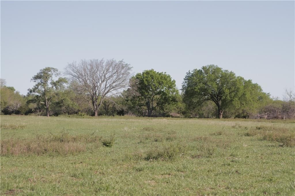 000 Delaware Road — photo 30