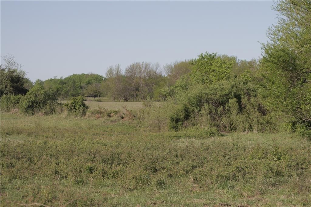 000 Delaware Road — photo 39