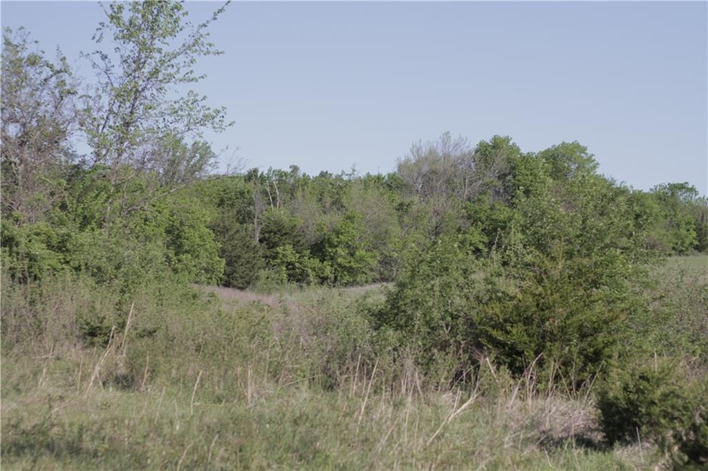 000 Delaware Road — photo 45