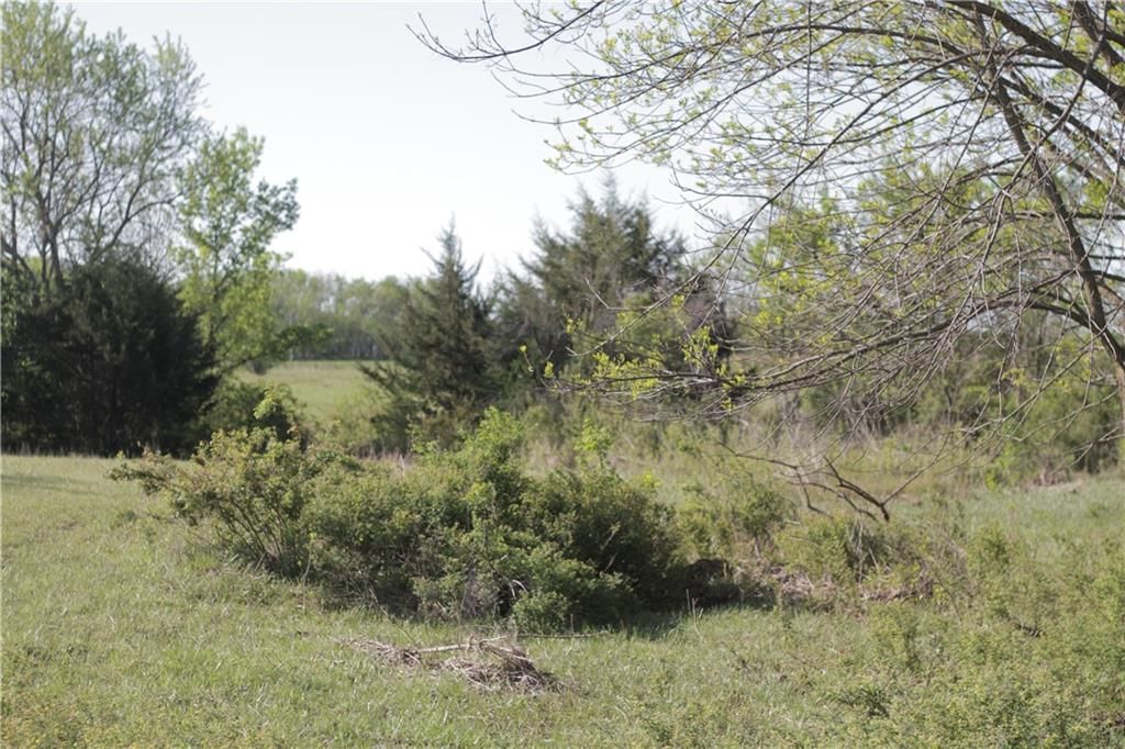 000 Delaware Road — photo 49