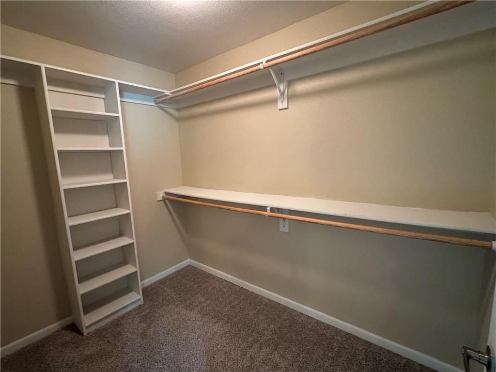 7841 Troup Court — photo 12