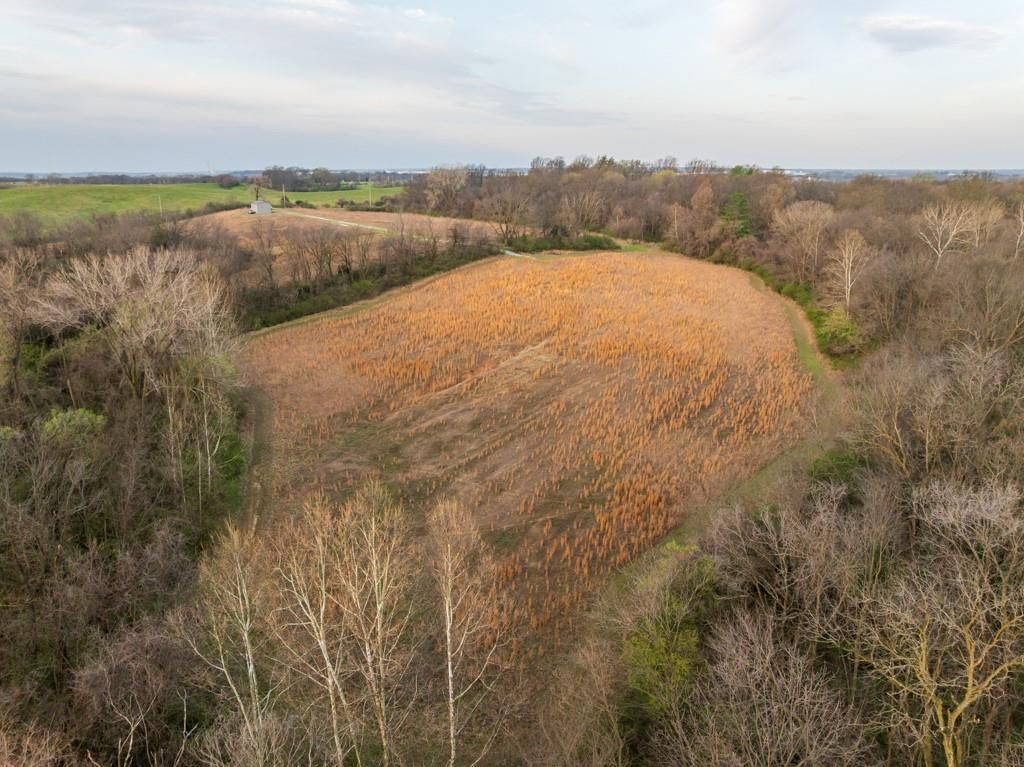 Photo 13 of 49 - Ruth Ewing Road, Liberty, MO 64068