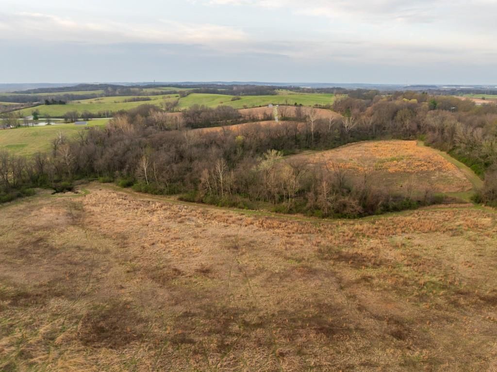 Photo 16 of 49 - Ruth Ewing Road, Liberty, MO 64068