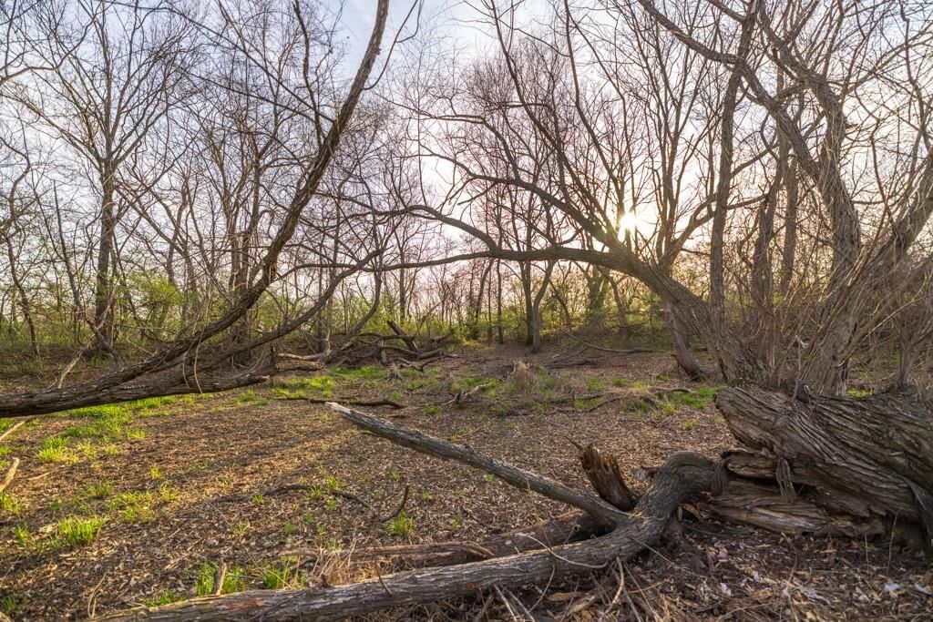 Photo 27 of 49 - Ruth Ewing Road, Liberty, MO 64068