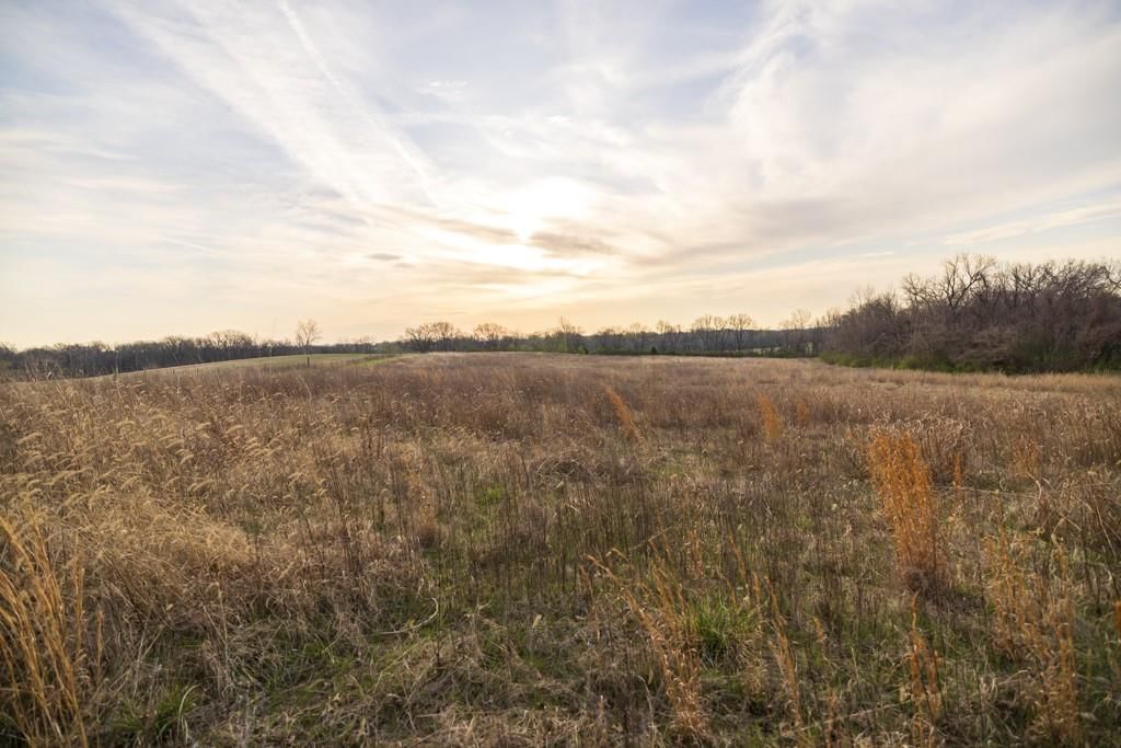 Photo 30 of 49 - Ruth Ewing Road, Liberty, MO 64068
