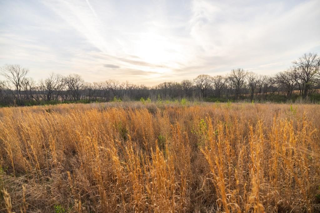 Photo 31 of 49 - Ruth Ewing Road, Liberty, MO 64068