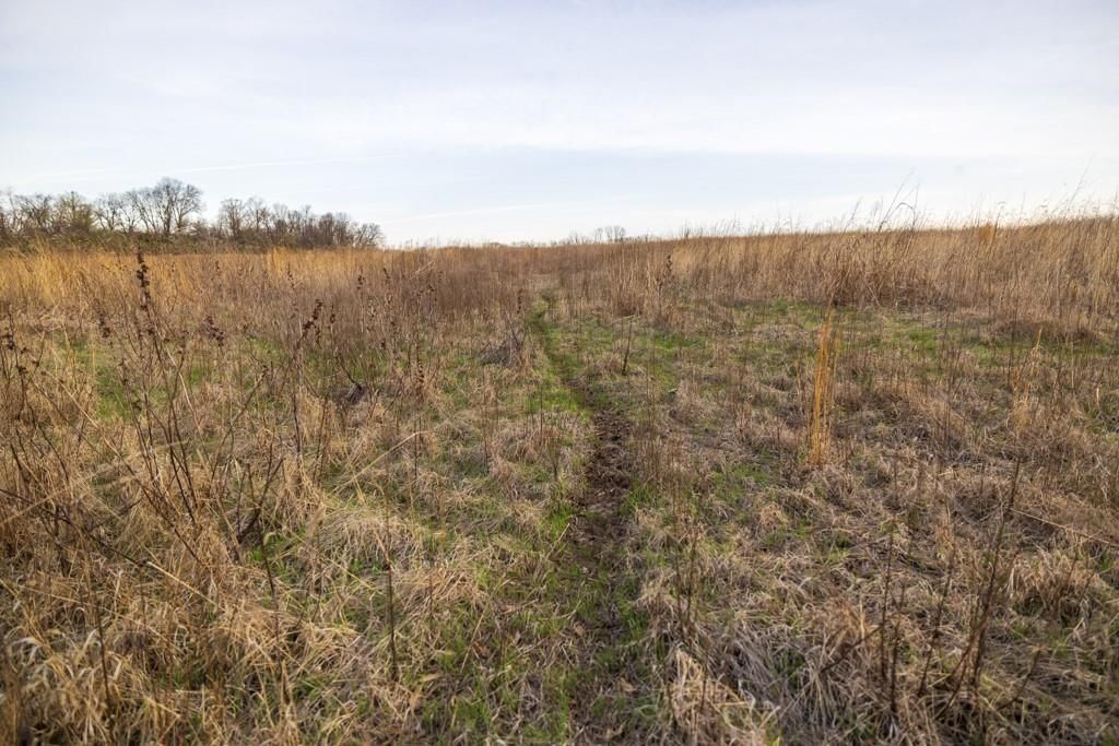 Photo 32 of 49 - Ruth Ewing Road, Liberty, MO 64068
