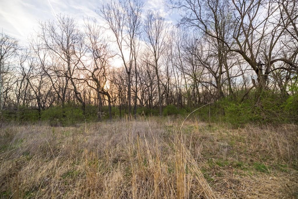 Photo 35 of 49 - Ruth Ewing Road, Liberty, MO 64068