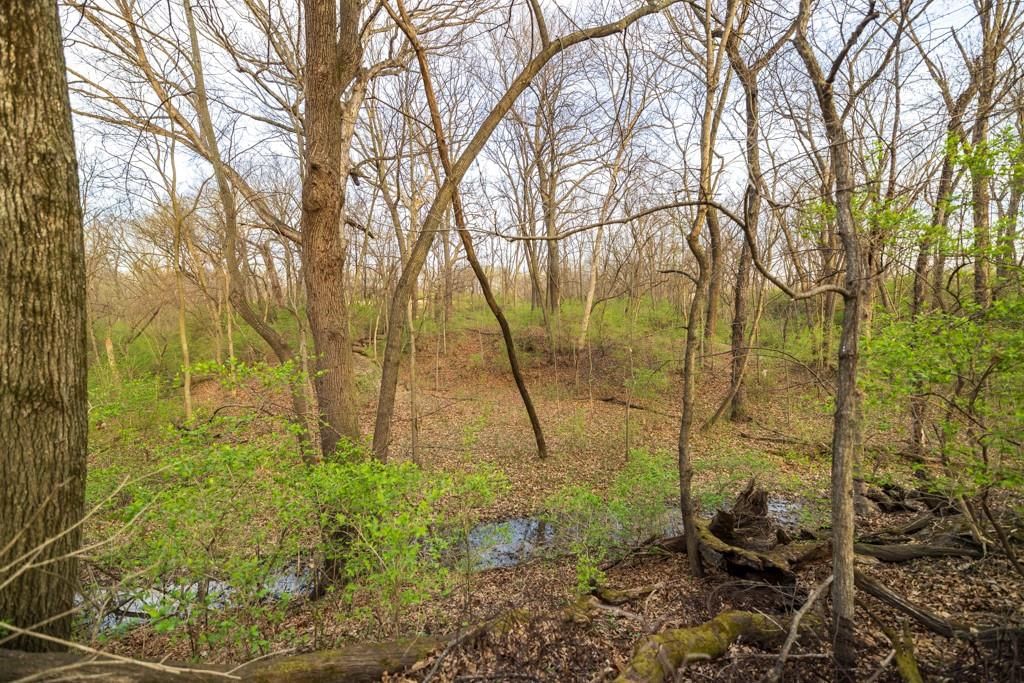 Photo 37 of 49 - Ruth Ewing Road, Liberty, MO 64068