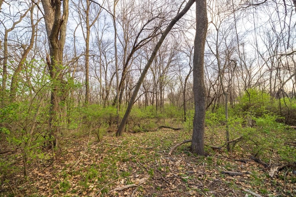 Photo 38 of 49 - Ruth Ewing Road, Liberty, MO 64068
