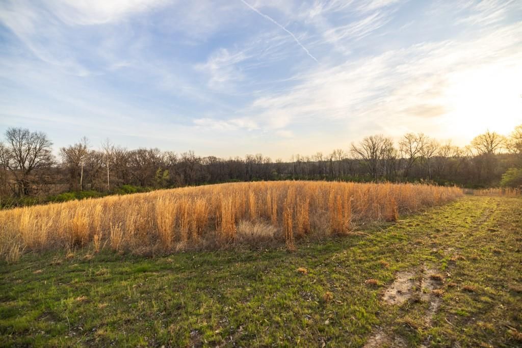 Photo 41 of 49 - Ruth Ewing Road, Liberty, MO 64068