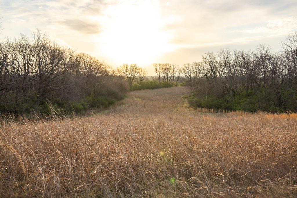 Photo 42 of 49 - Ruth Ewing Road, Liberty, MO 64068