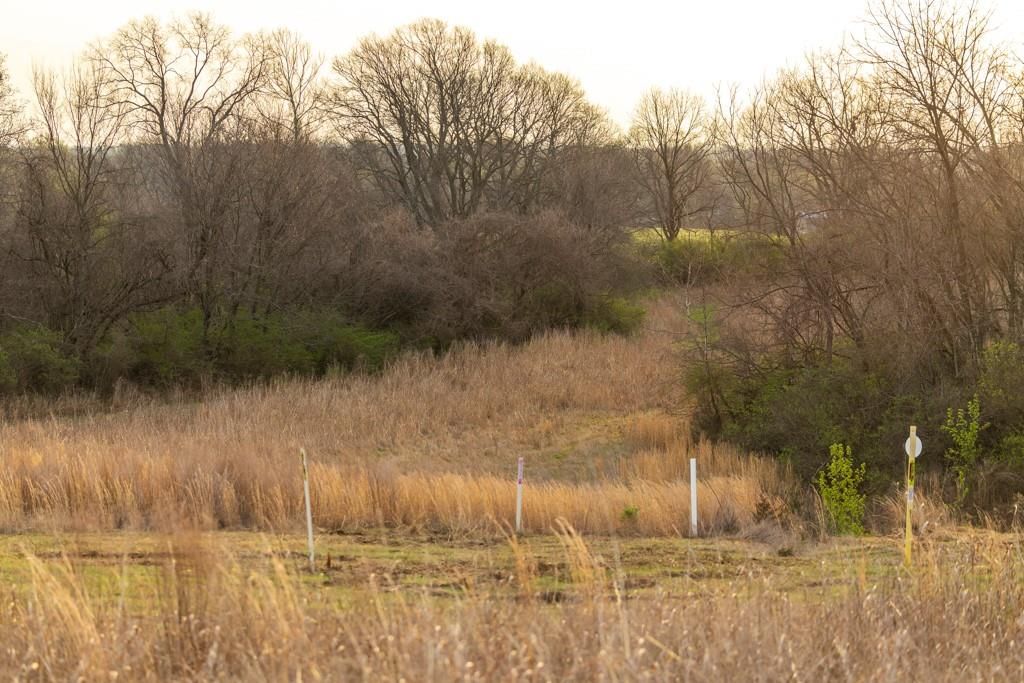 Photo 46 of 49 - Ruth Ewing Road, Liberty, MO 64068