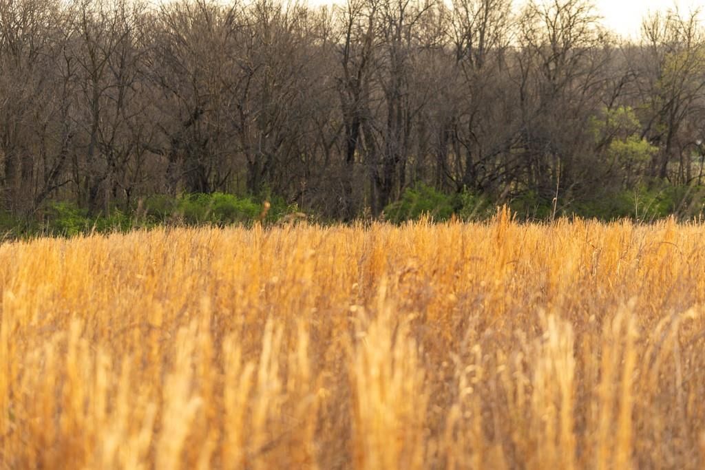 Photo 47 of 49 - Ruth Ewing Road, Liberty, MO 64068