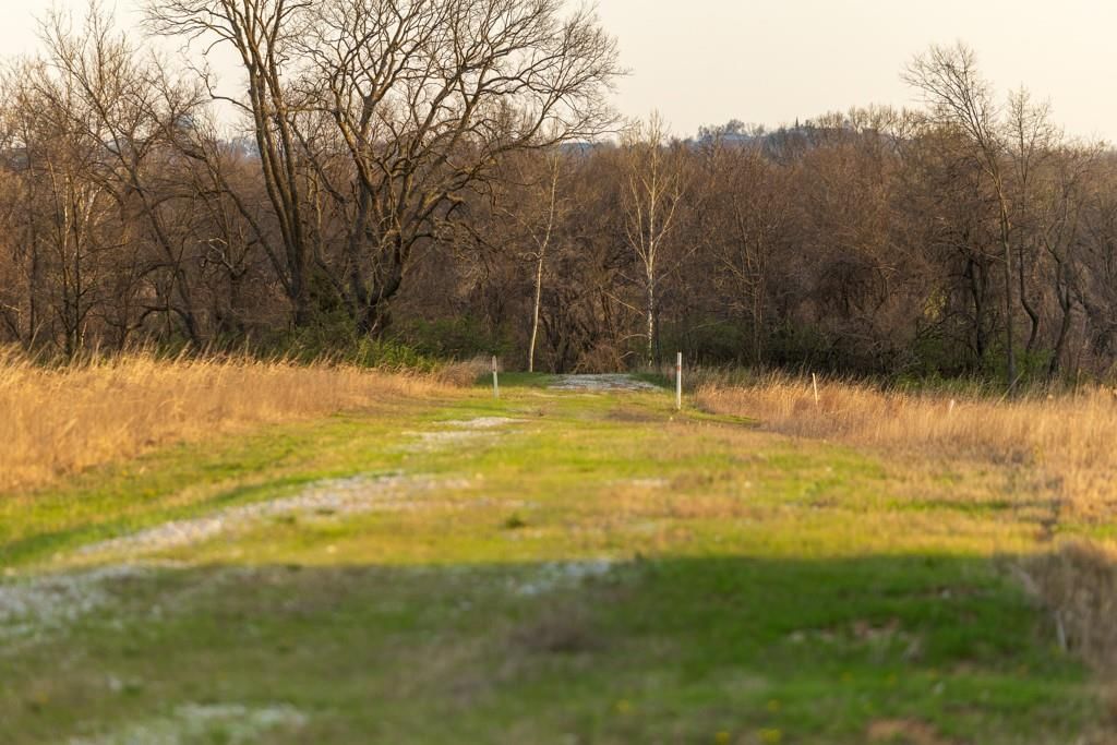 Photo 48 of 49 - Ruth Ewing Road, Liberty, MO 64068