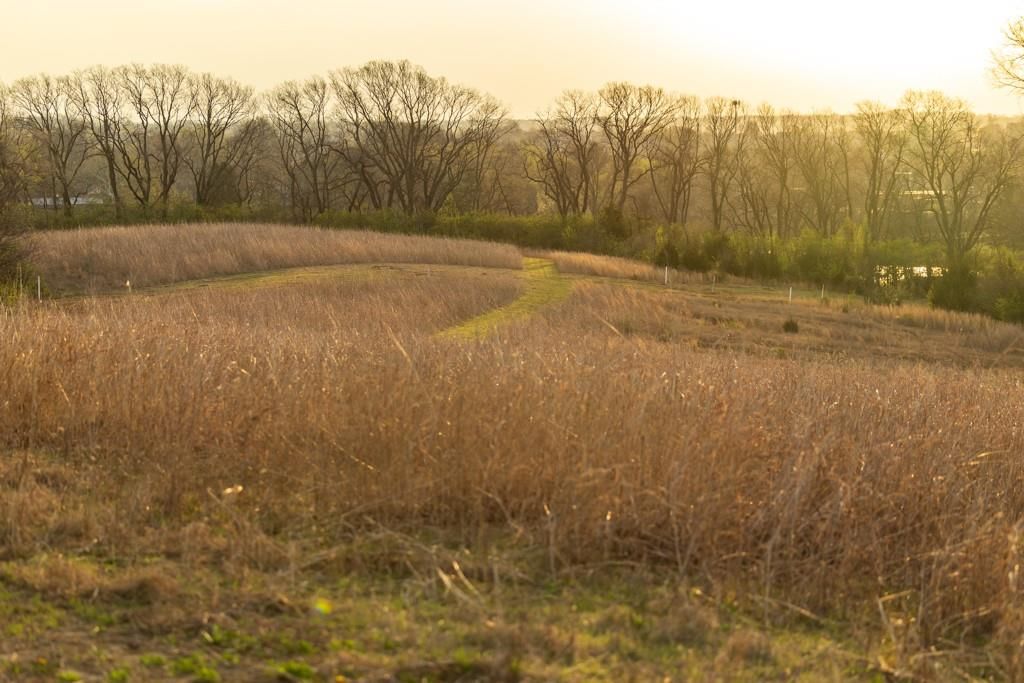 Photo 49 of 49 - Ruth Ewing Road, Liberty, MO 64068