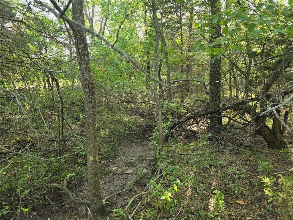 3387 Butler Road — photo 25