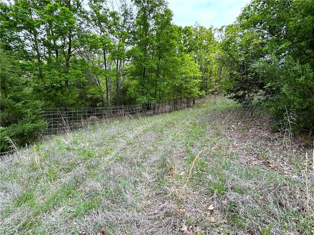 XXX East B Highway — photo 11