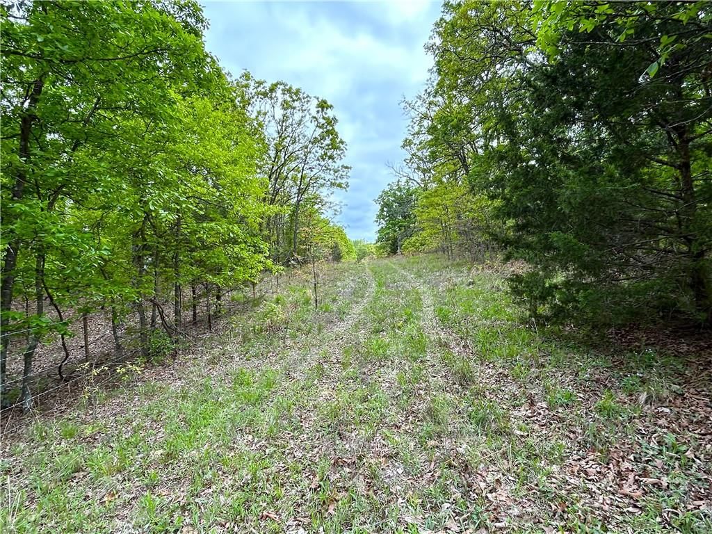 XXX East B Highway — photo 12