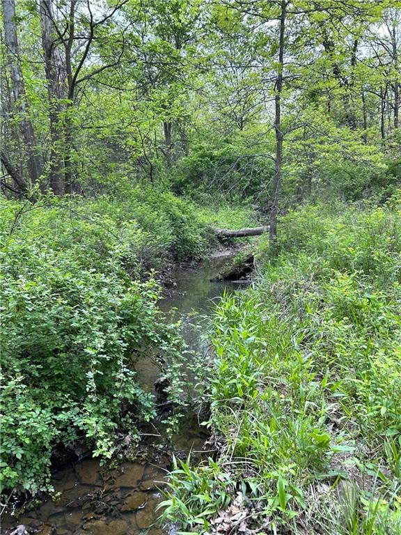 XXX East B Highway — photo 18