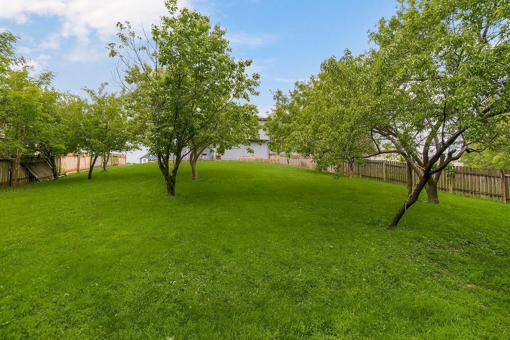 10531 N Ditman Avenue — photo 29