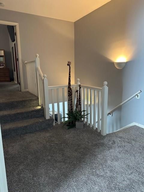 6711 W 126th Place — photo 14
