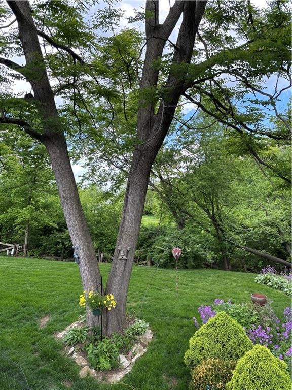 14665 Clemstone Drive — photo 30
