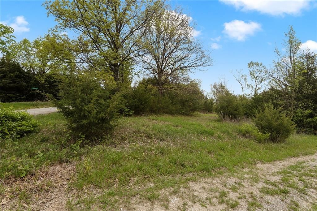 Lot 52 Crystal Drive — photo 2