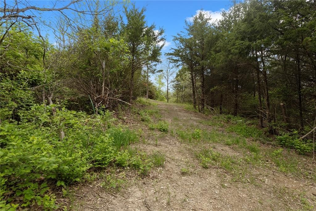 Lot 52 Crystal Drive — photo 6