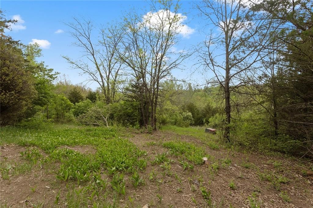 Lot 52 Crystal Drive — photo 7